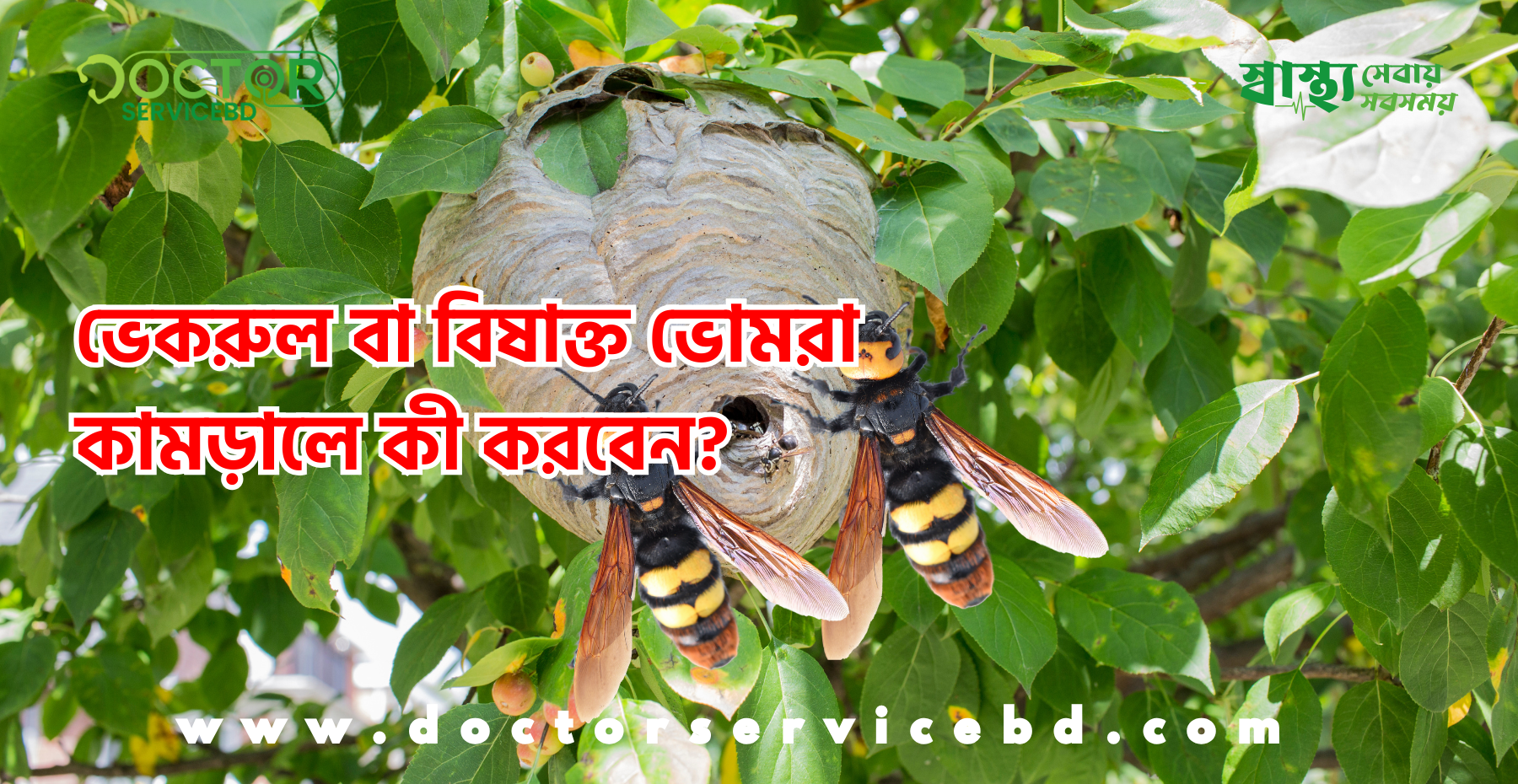 blog-image