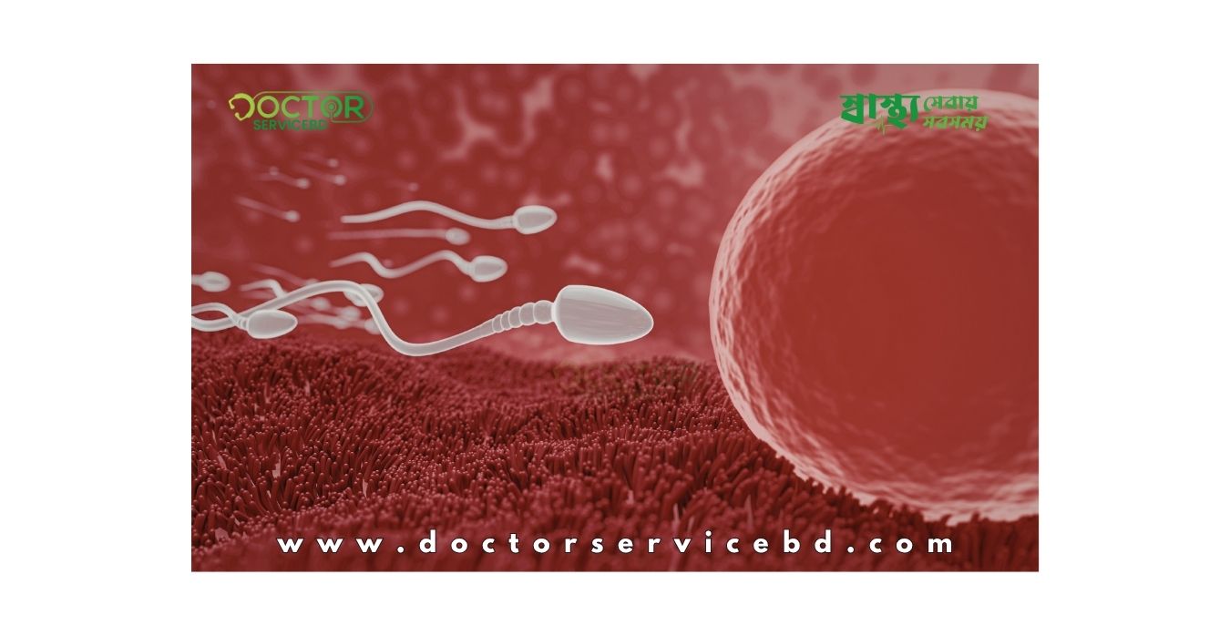 blog-image